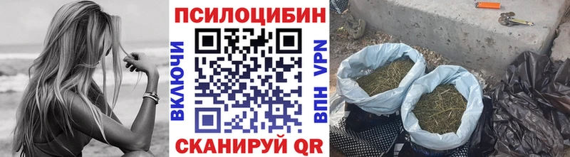 Псилоцибиновые грибы Cubensis  Балабаново 